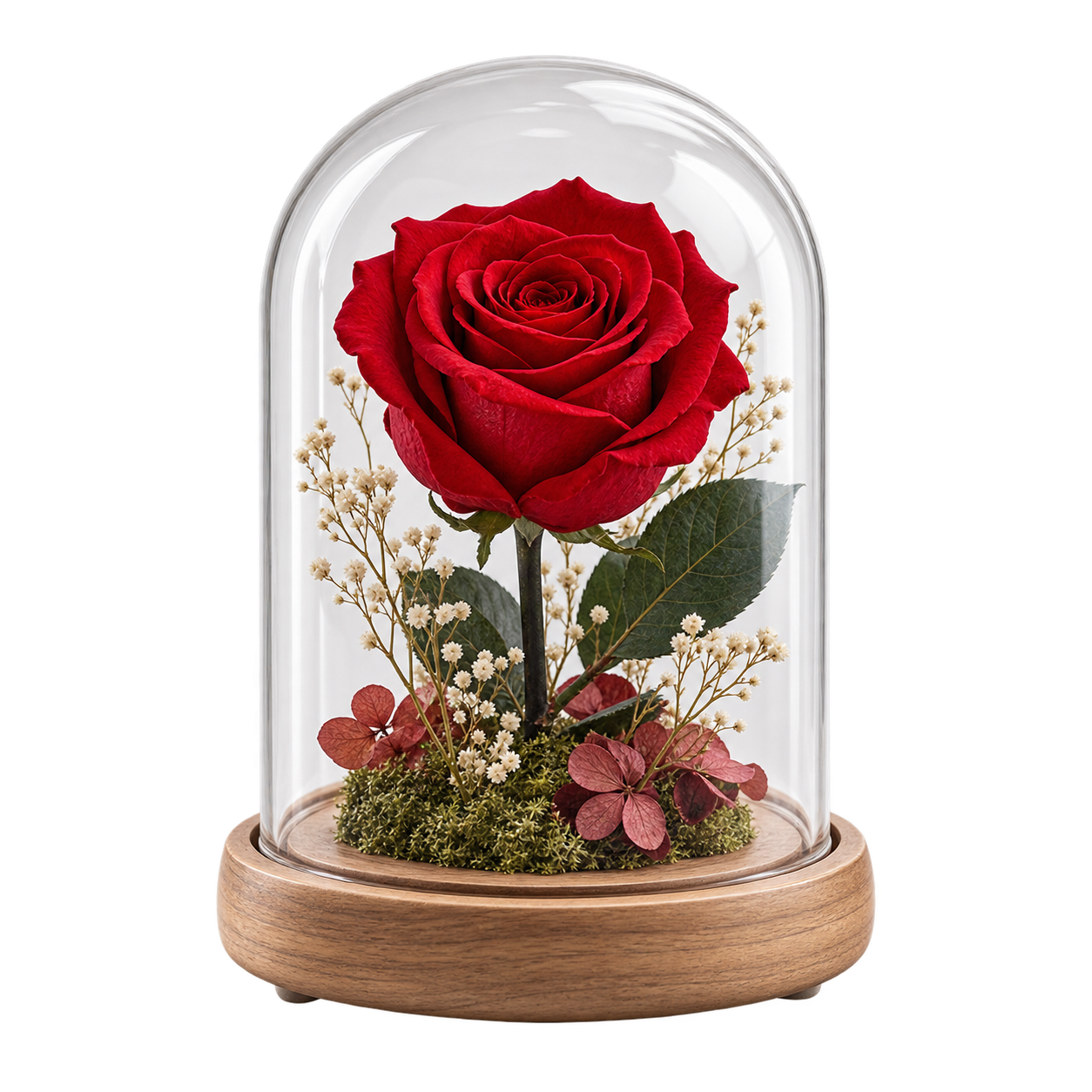 Rosa Encantada